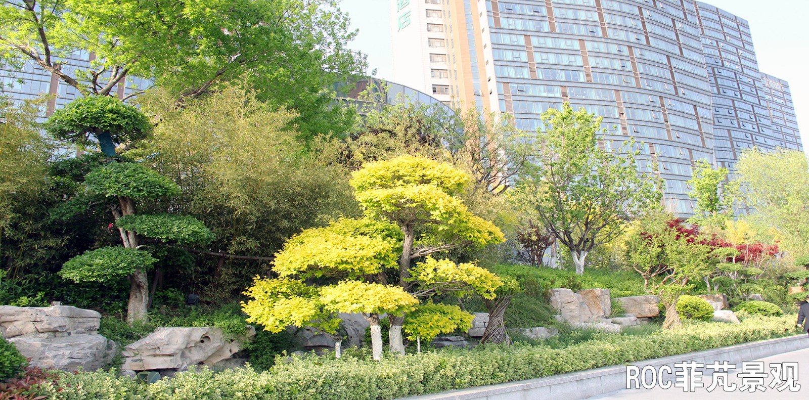 小清河板桥广场·济南