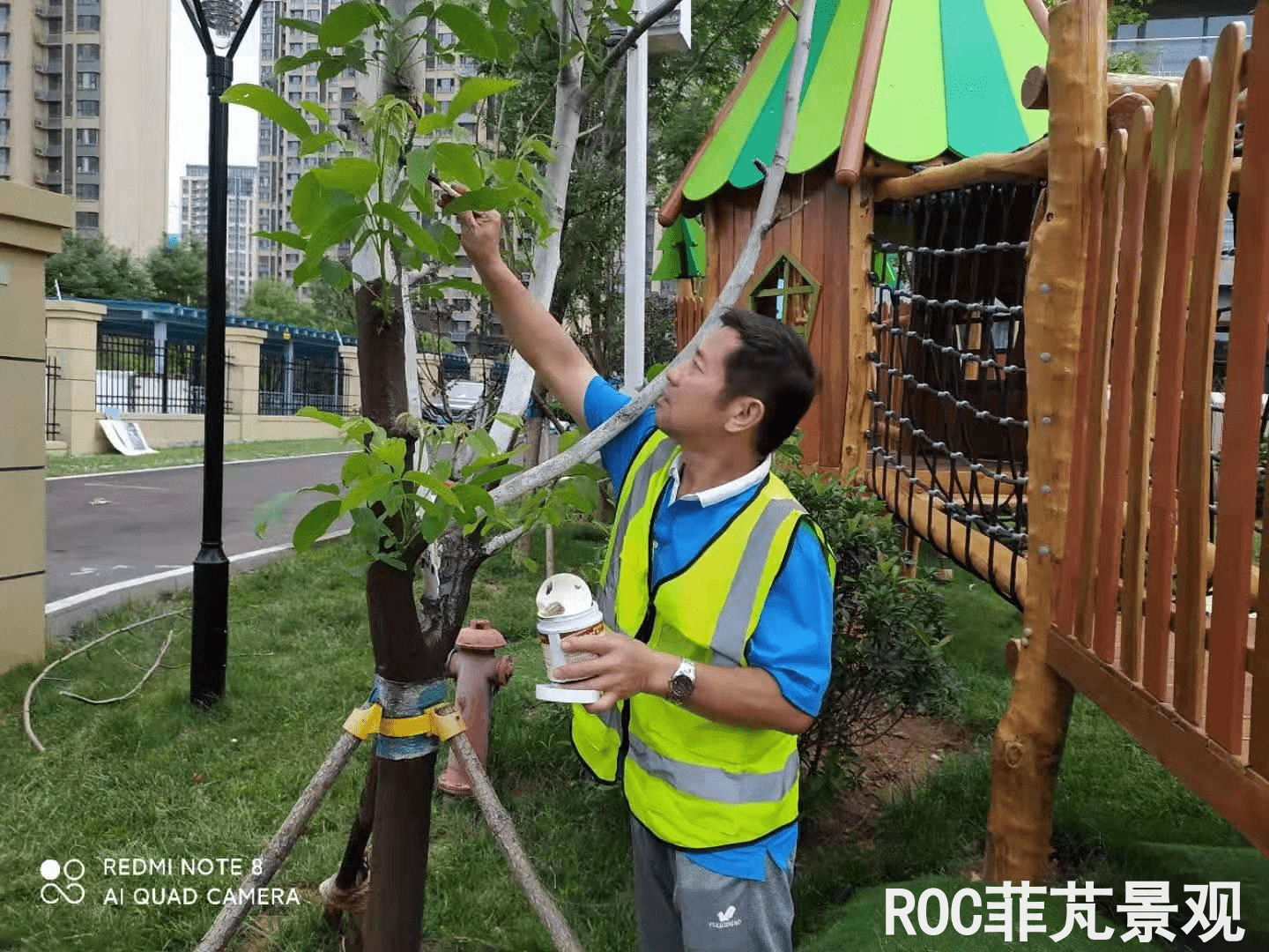 夏季养护-历下三幼