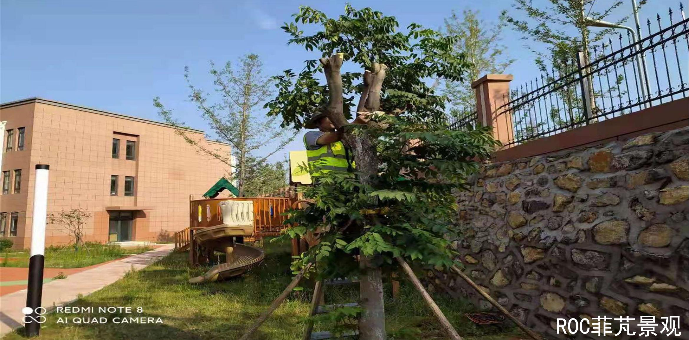 夏季养护·济南市第一实验幼教集团