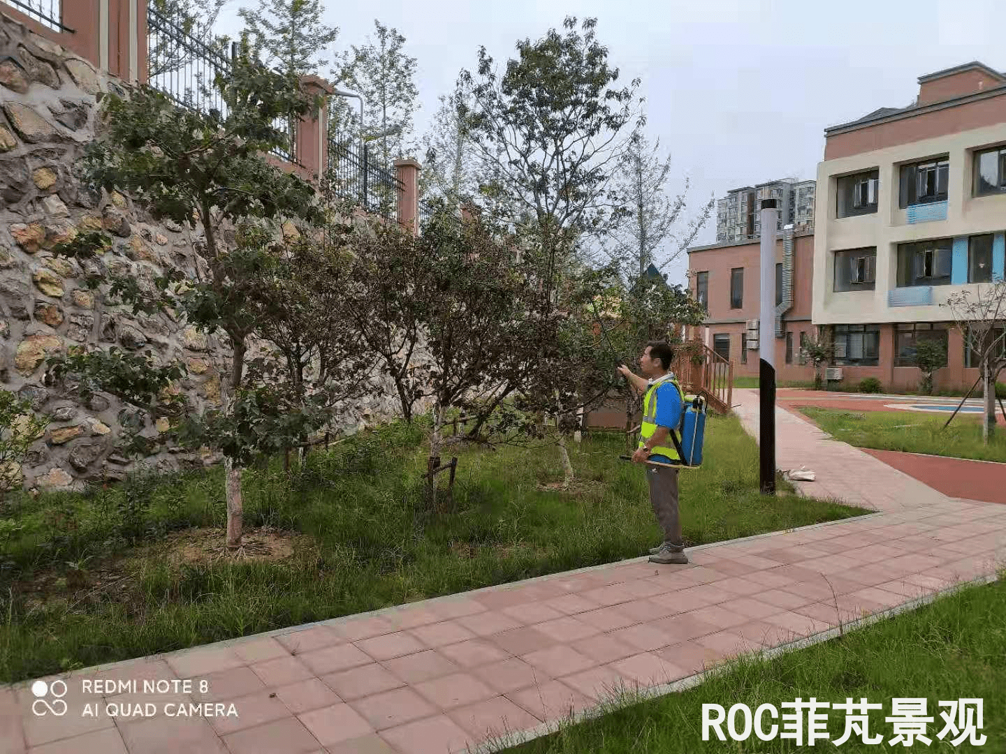 夏季养护-历下三幼