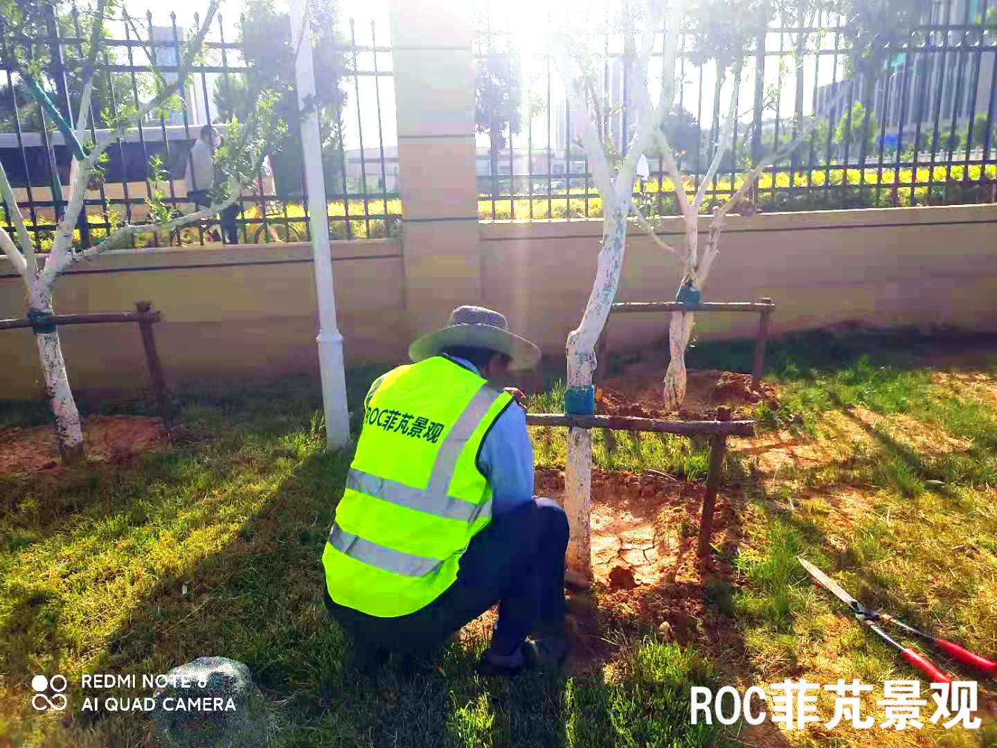 菲芃景观·春夏养护