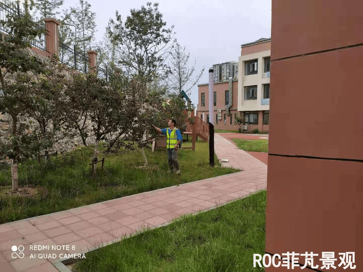 夏季养护-历下三幼