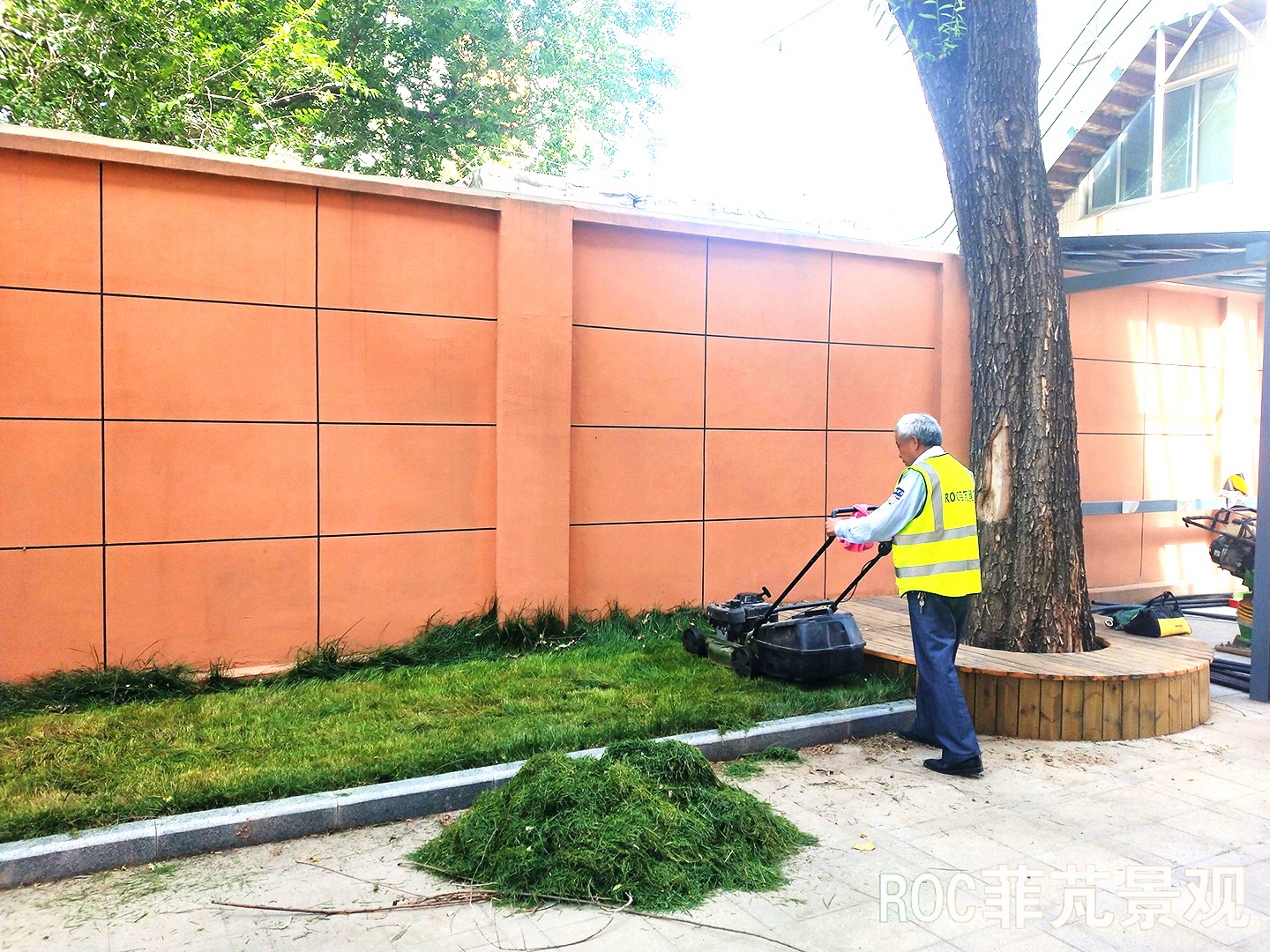 菲芃景观·春夏养护