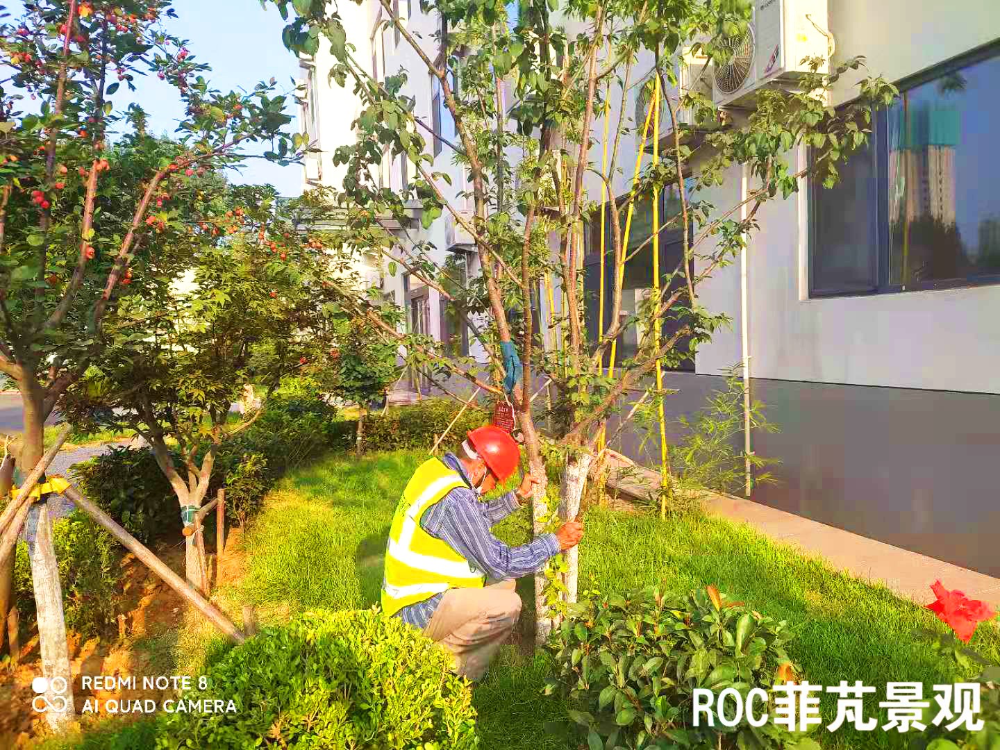 菲芃景观·秋冬养护