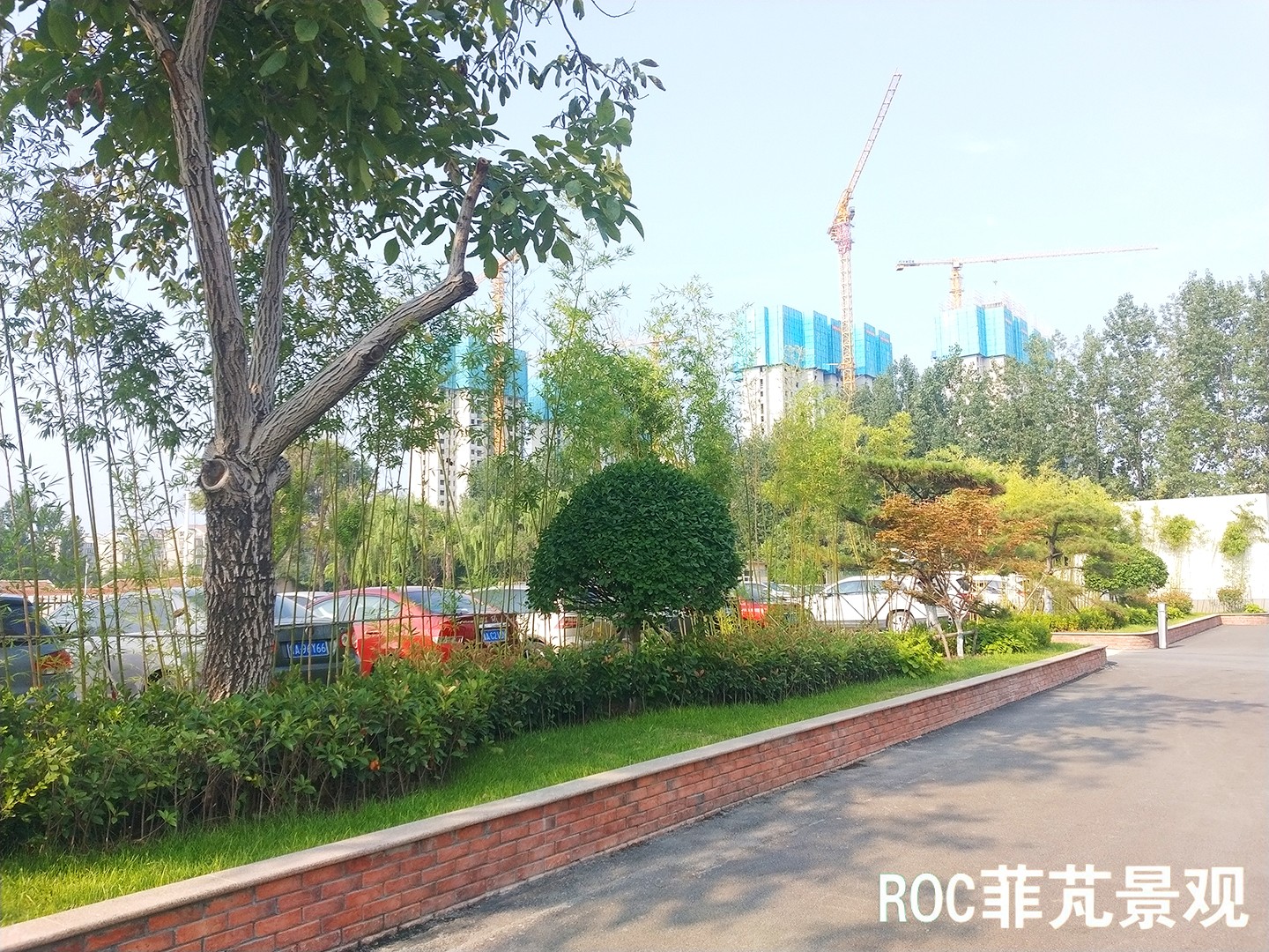 菲芃景观·春夏养护