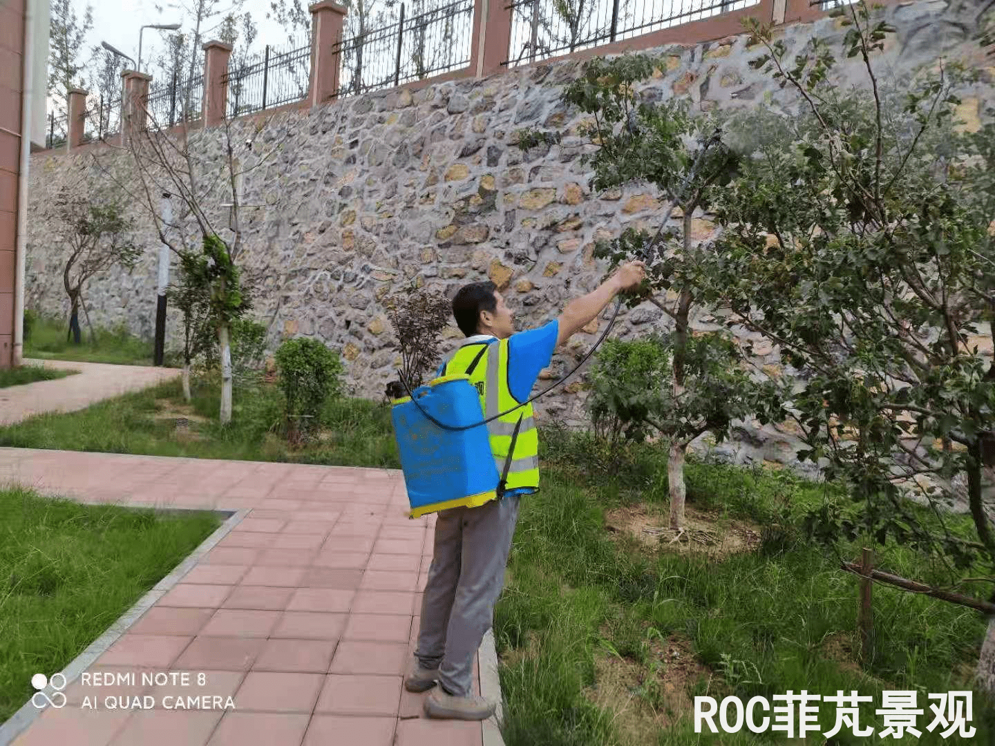 夏季养护-历下三幼