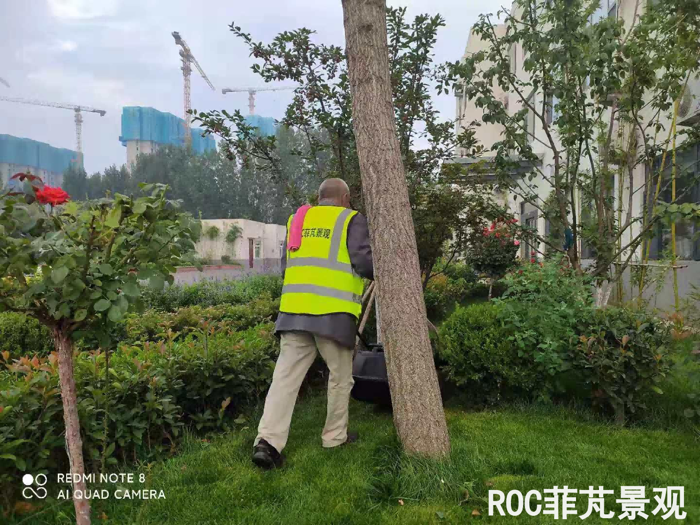 夏季养护-济钢物流