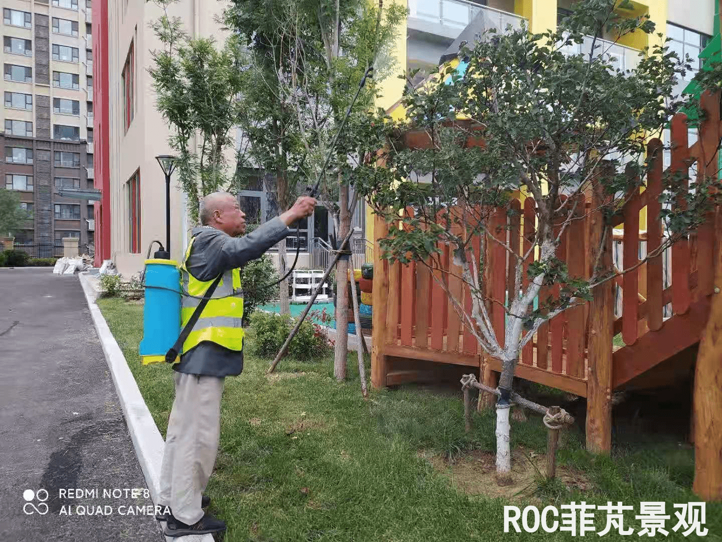 夏季养护-历下三幼