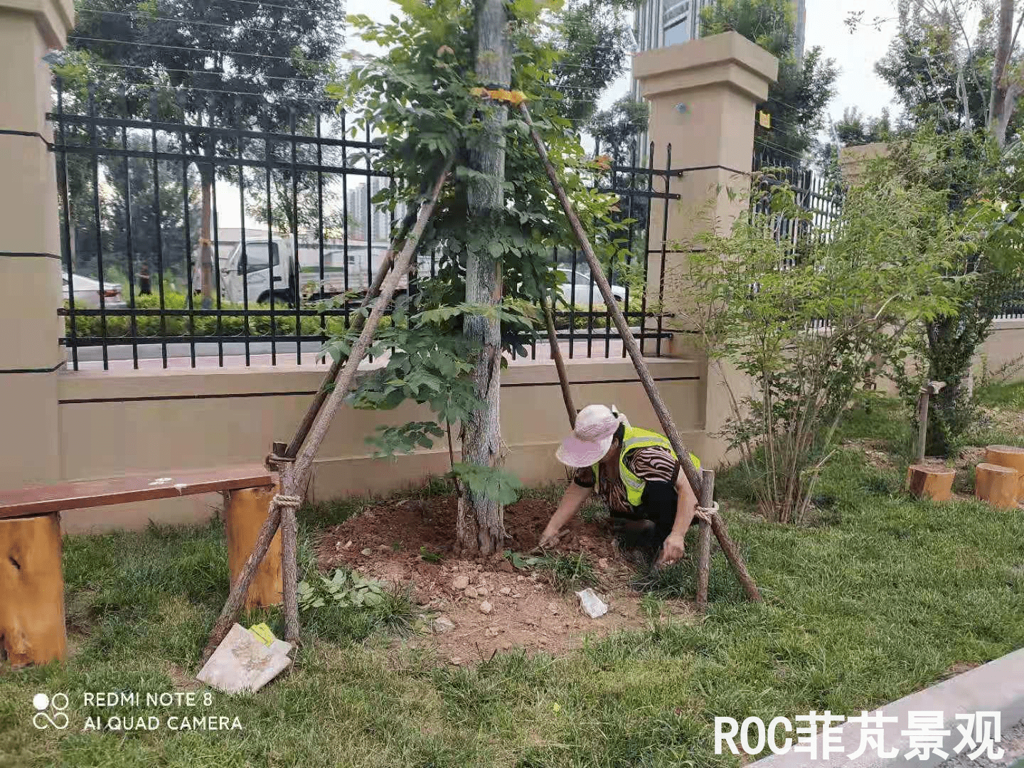 夏季养护-历下三幼
