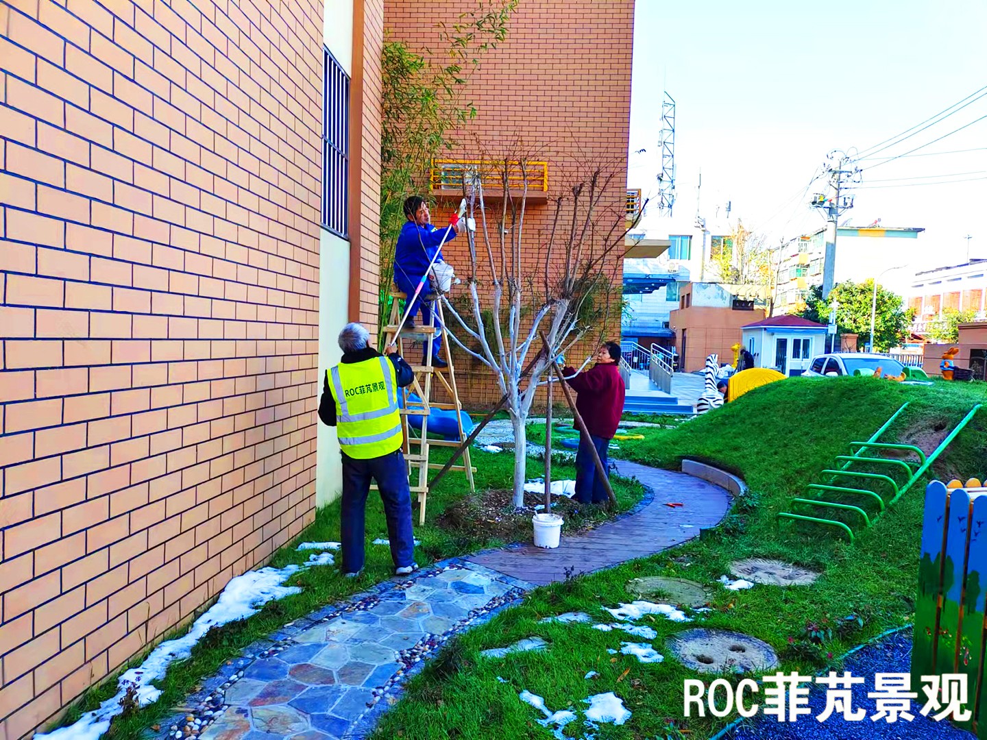 菲芃景观·秋冬养护