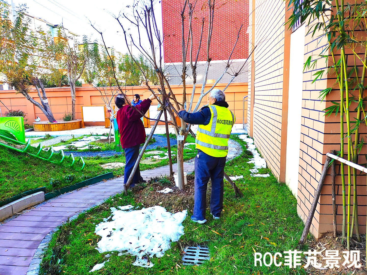 菲芃景观·秋冬养护