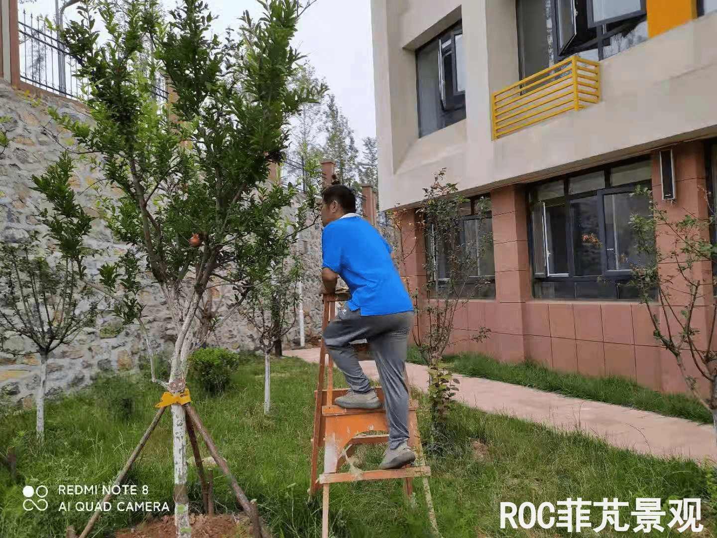 夏季养护-历下三幼