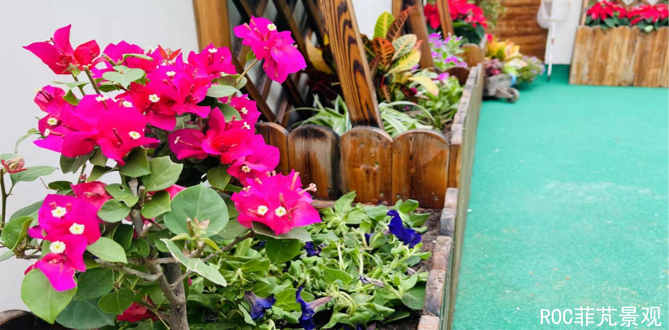 夏季养护·济南市第一实验幼教集团