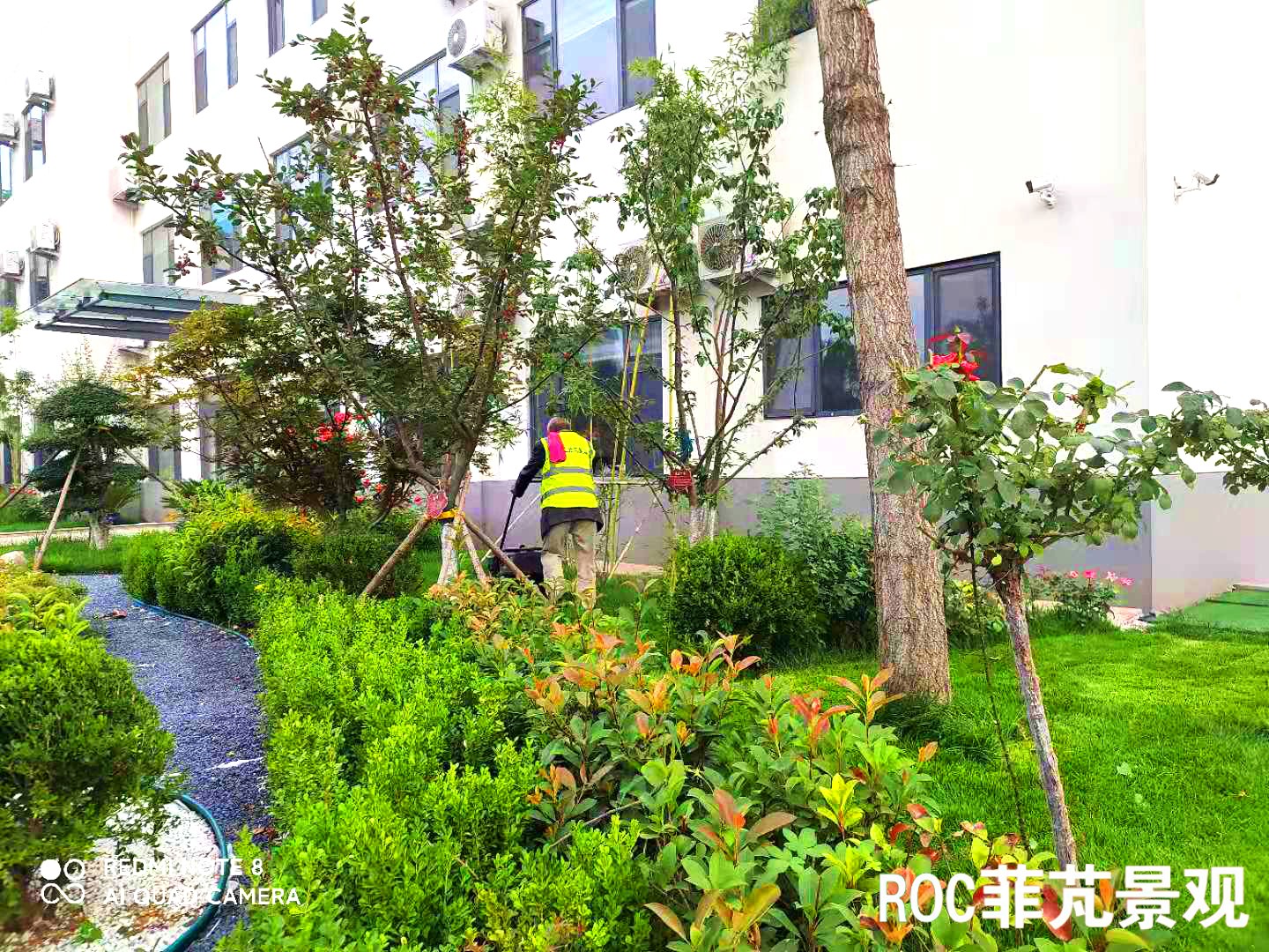 菲芃景观·春夏养护