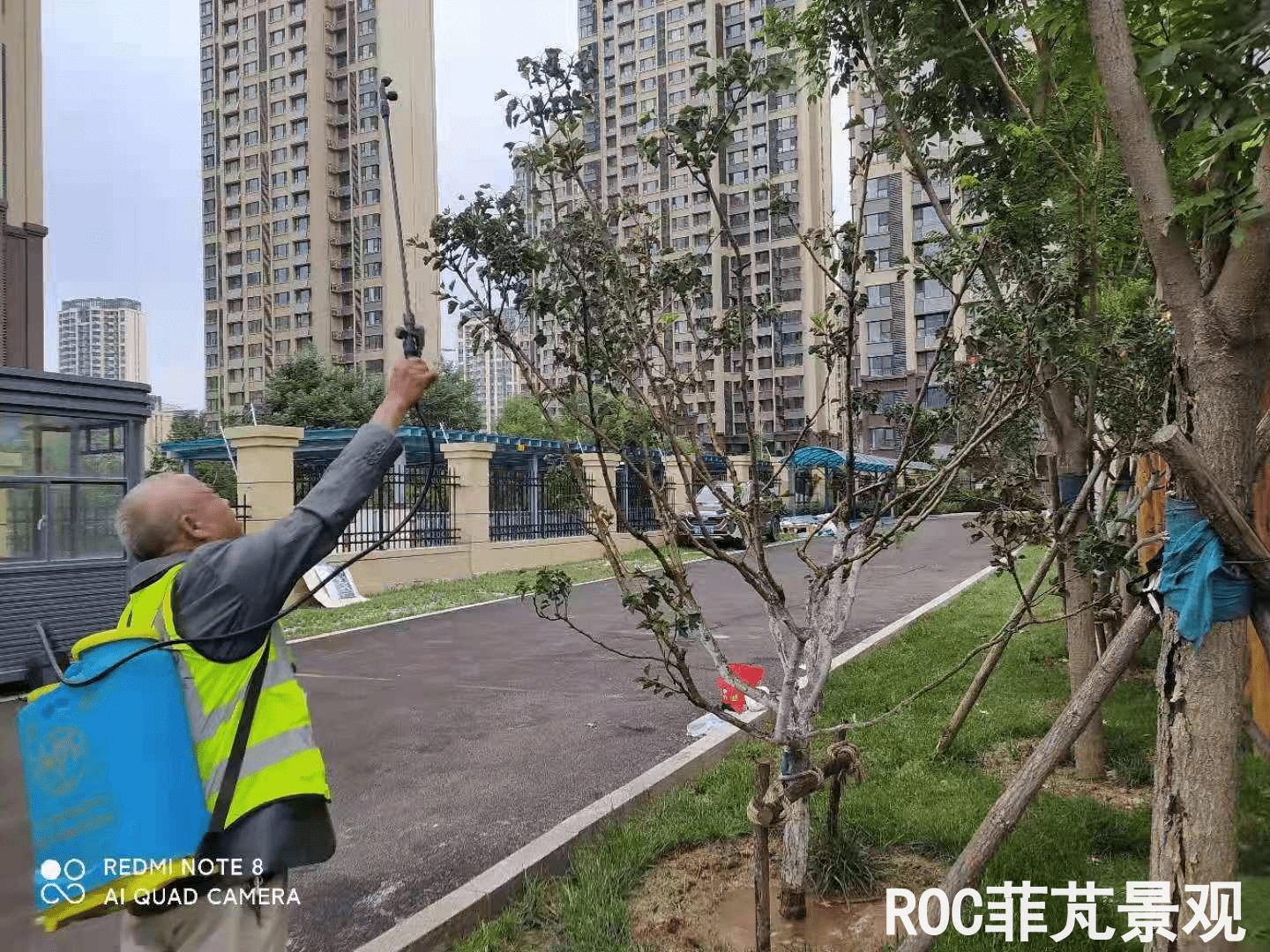 夏季养护-历下三幼