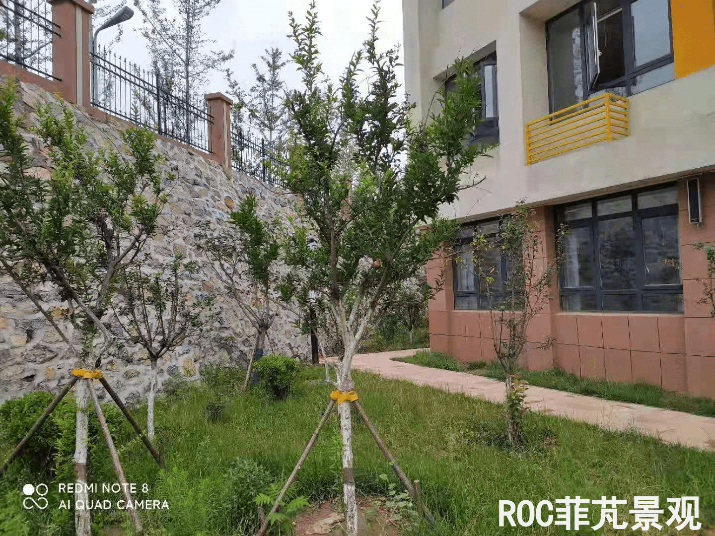 夏季养护-历下三幼