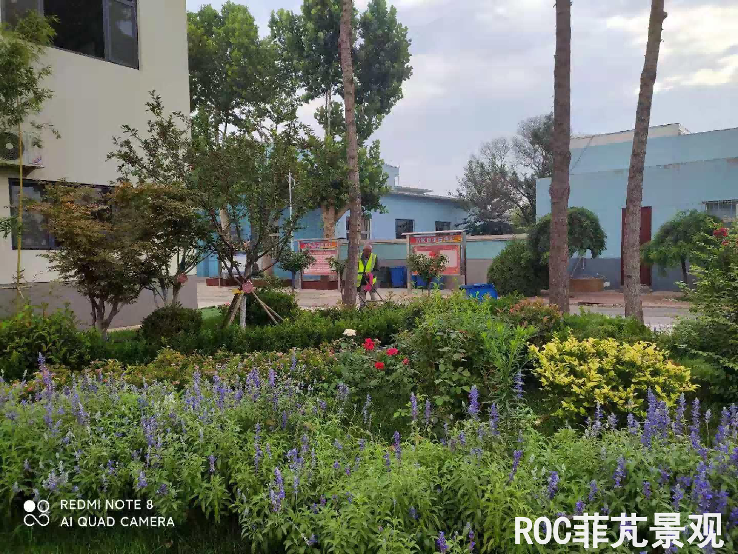 夏季养护-济钢物流