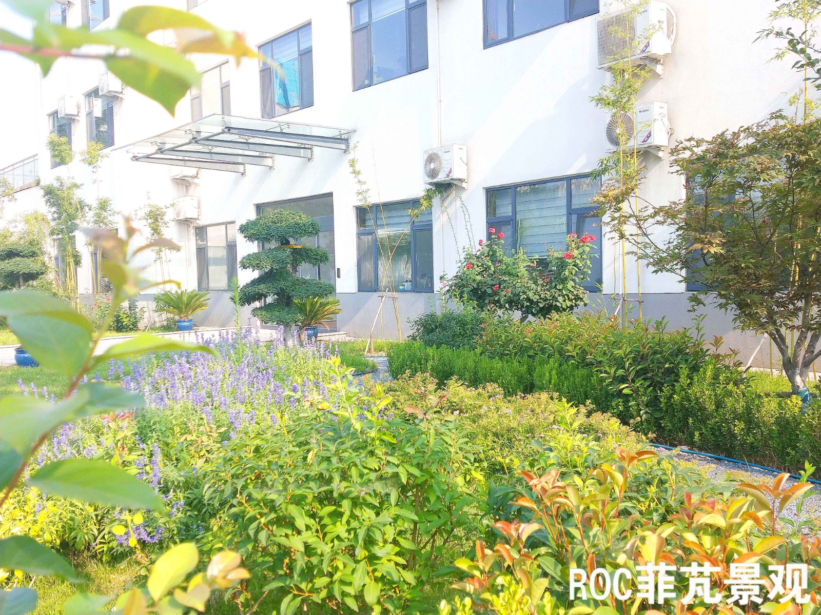 菲芃景观·春夏养护