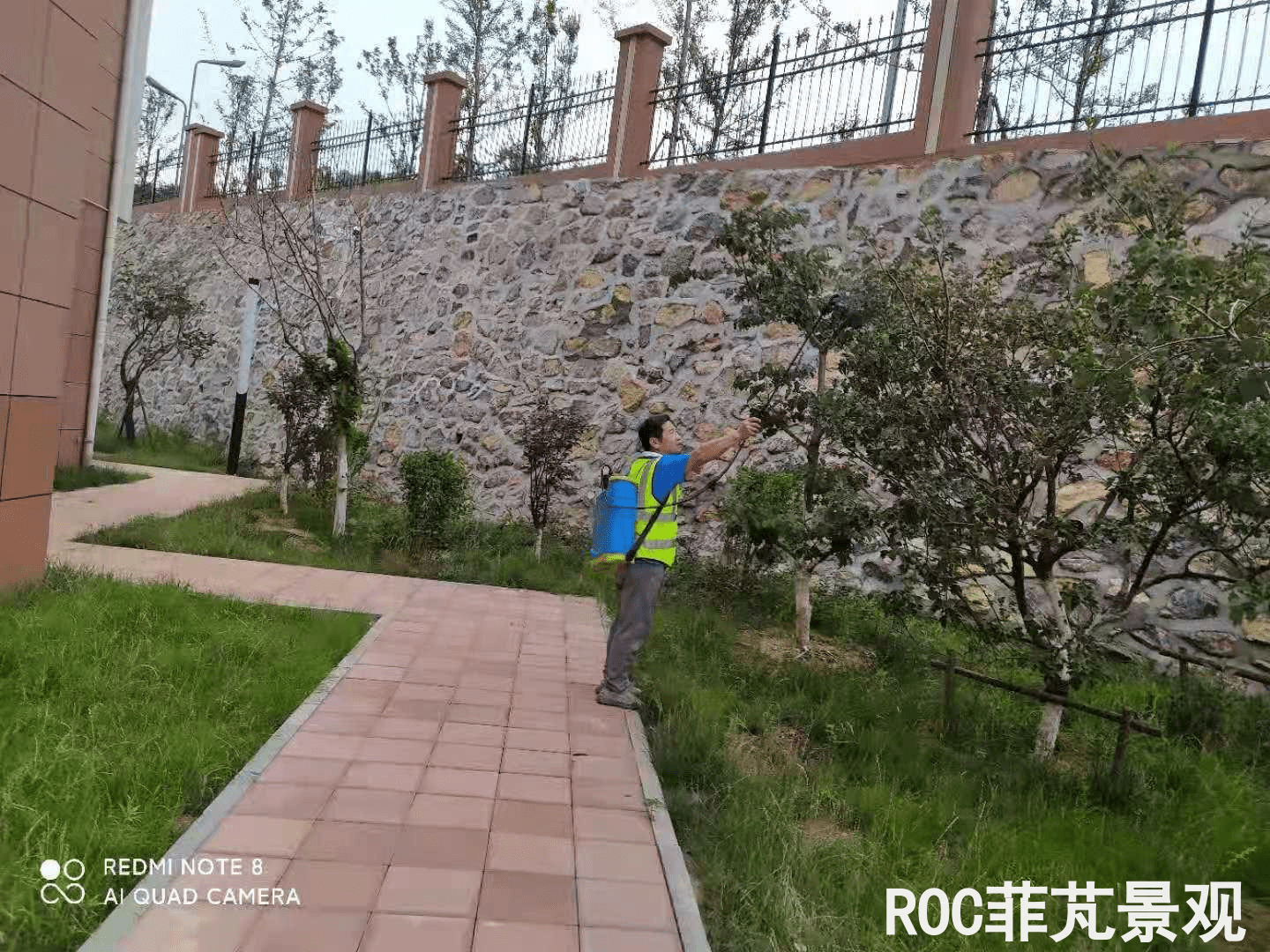 夏季养护-历下三幼