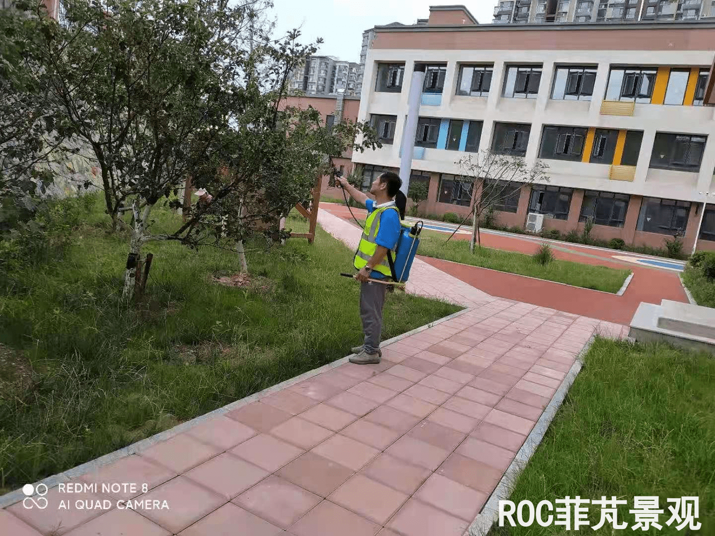 夏季养护-历下三幼