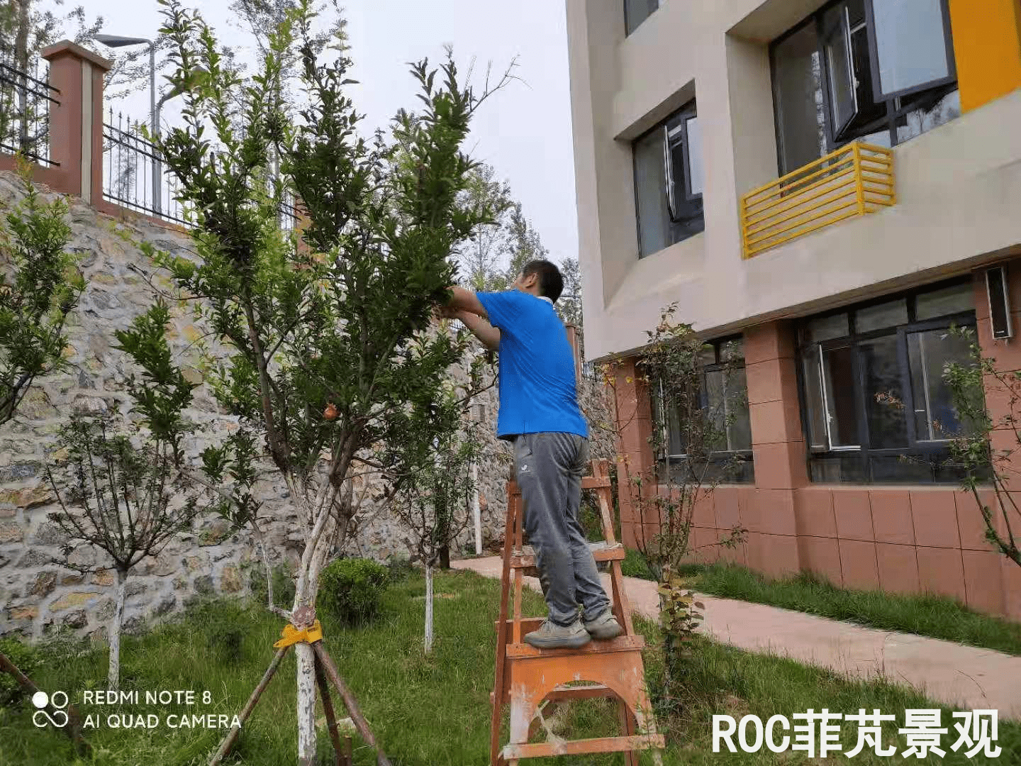 夏季养护-历下三幼