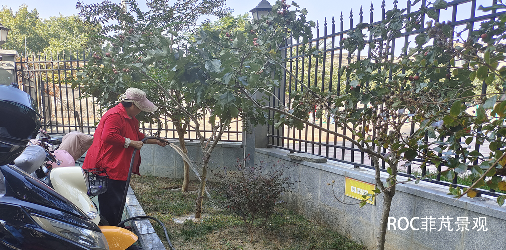 秋冬养护·十月