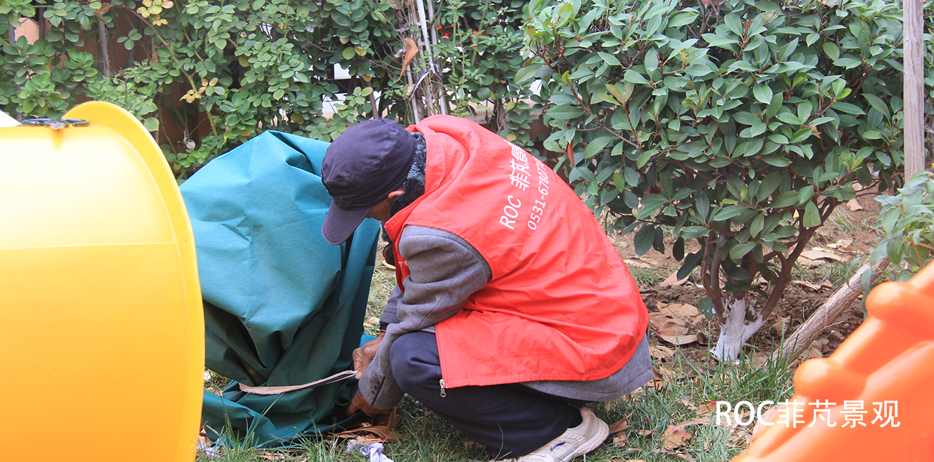 秋冬养护·十一月