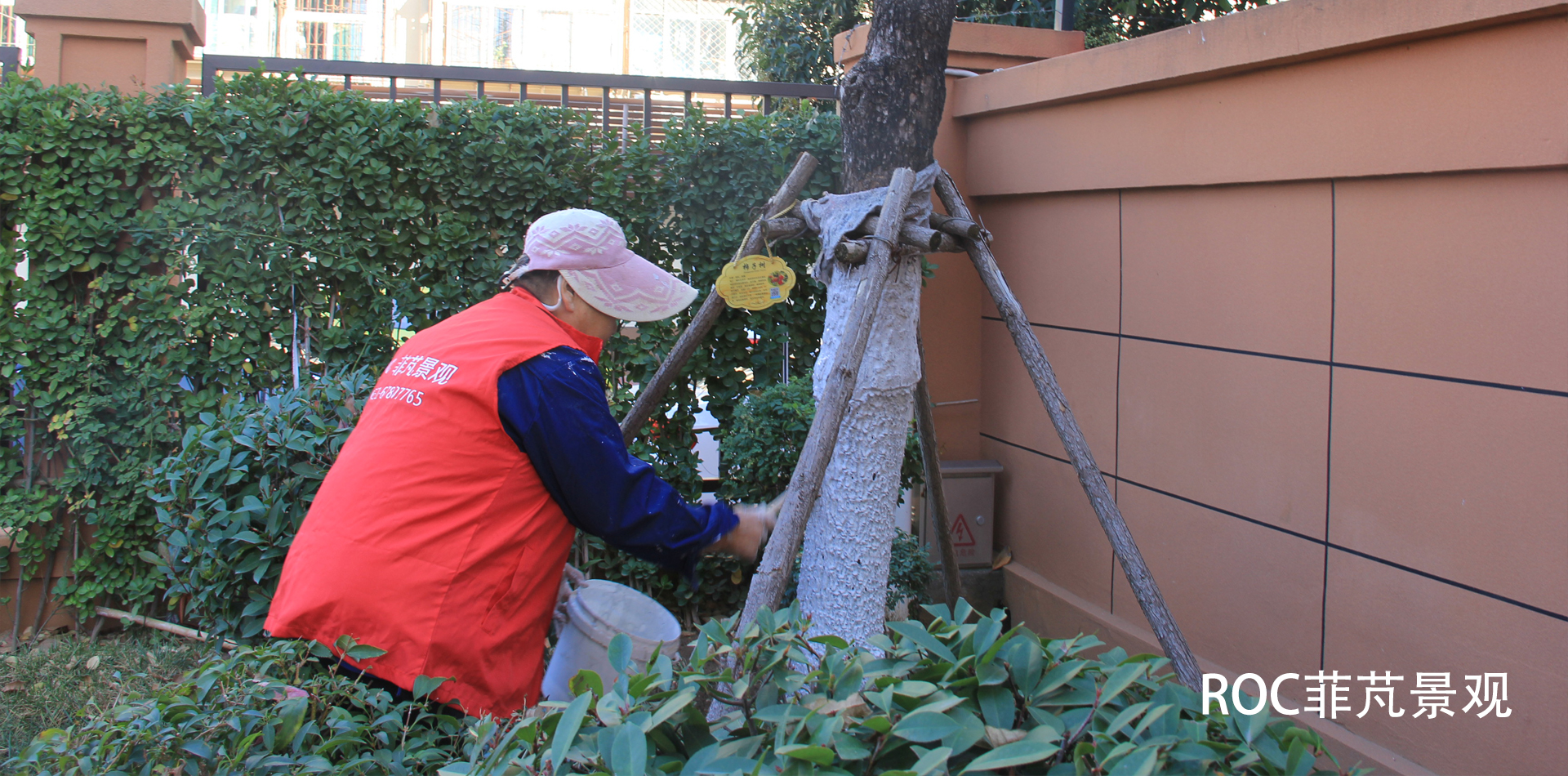 秋冬养护·十一月